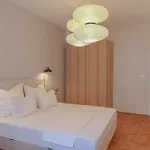 Newly Renovated 3br 2 Min Walk To Wenceslas Square Prague